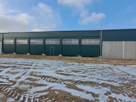 King of Korn, Reinschedl - Petronell King of Korn, Reinschedl - Petronell